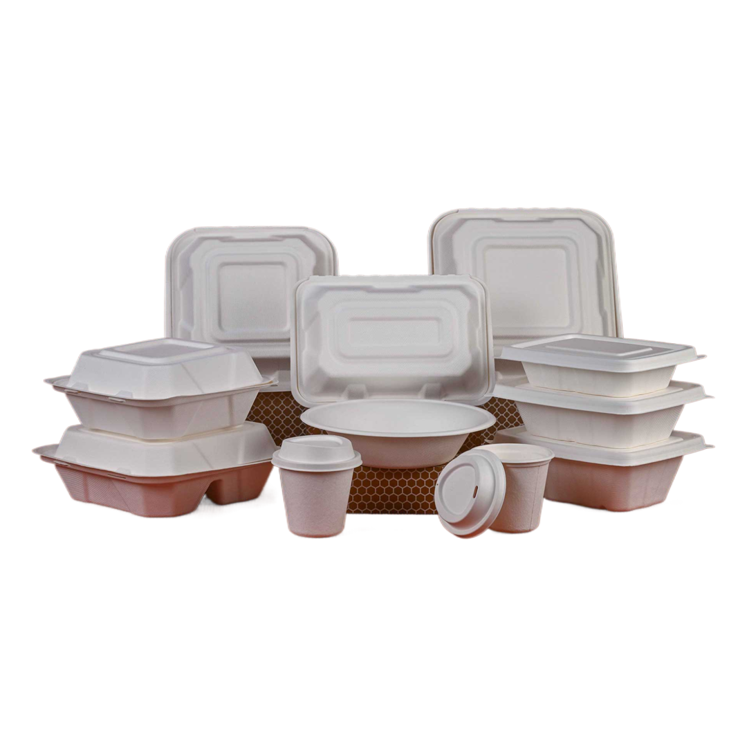 Bagasse Products